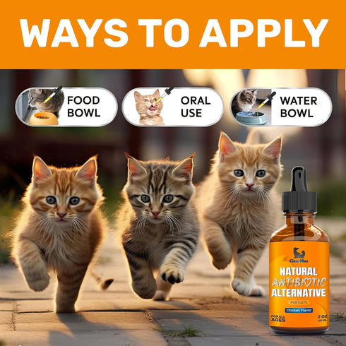 Antibiotics for Cats, Natural Antibiotics & Multivitamin for Cats, 2 Oz