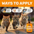Antibiotics for Cats, Natural Antibiotics & Multivitamin for Cats, 2 Oz