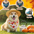 72 Sanwuta Pcs Thanksgiving Dog Bandana Bulk Washable Puppy Triangle Scarfs Thanksgiving Cat Bandanas Adjustable Soft