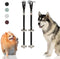 Caldwell's Pet Supply Co. Dog Potty Bells, Hanging Door Bell for Potty Training Dogs