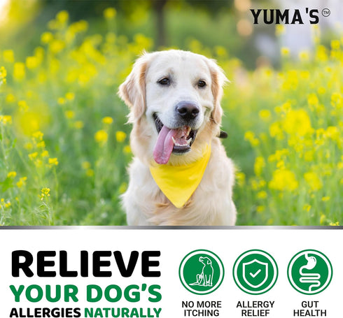 170 3 Dog Allergy Relief Chews - Dog Itching Skin Relief Treatment Pills - Treats - Anti-Itch Chewables - Itchy and Paw