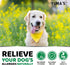 170 3 Dog Allergy Relief Chews - Dog Itching Skin Relief Treatment Pills - Treats - Anti-Itch Chewables - Itchy and Paw