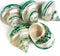 5PC Green Turbo Banded Shells, Hermit Crab Supplies for Decor, 1.5"~2" Inch