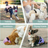 5Pcs Female Dog Diapers - Premium Reusable Diapers for Doggie in Heat - Highly Absorbent Dog Diapers Female for Pet