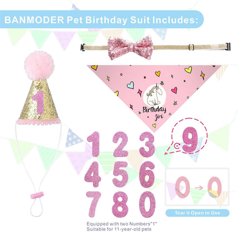 BANMODER Dog Birthday Bandana and Hat - Multi Size Square Scarf, Party Supplies for Large X-Large Dogs