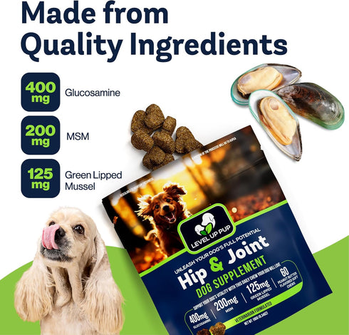 Level Up Pup LVL Up Pup Dog Joint Supplement for Senior Dogs Hip & Joint Supplement for Dogs with Glucosamine