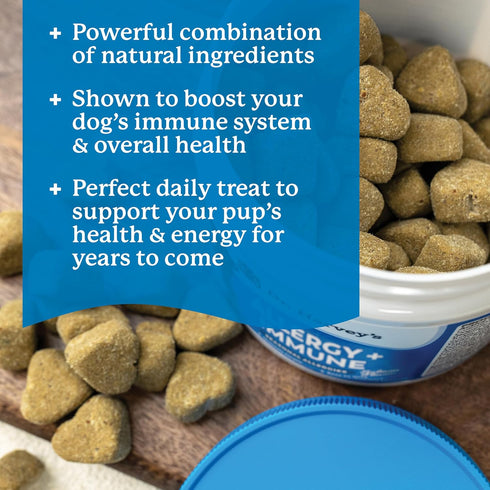 Dr. Harvey's Dog Allergy & Anti-Itch Relief Soft Chews, 90 Chews - Daily Immune & Digestive Health Support with