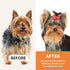 Dog Brush, Pin Brush for Dogs, 27mm Extra Long Pin Brush for Shedding, Beech Wood Material, Non-Slip Rubber Handle