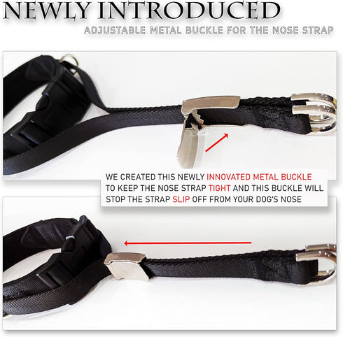 PetsProMax No-Pull Dog Headcollar (Large), Gentle Training Collar for Dogs, Comfortable and Effective Walking Solution