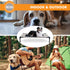 K&H Pet Products Elevated Outdoor Dog Cot Bed for Large Dogs, Portable Washable Dog Hammock Cooling Bed, Heavy Duty