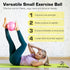 ProBody Pilates Ball - Small Exercise Ball w/Pump, 9 Inch Barre Ball for Stability, Fitness, Ab, Core, Physio