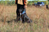 Ultimate Teal Hunting Dog Training Scent and Realistic Teal Duck Dummy, Waterfowl Puppy Gundog Training Kit