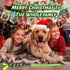 Christmas Dog Tug Toys, Large Chew Toy for Aggressive Chewers, Easy to GRAP, Ideal for Training, Hand Made (Green)