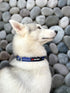 Tuff Pupper Heavy Duty Reflective Dog Collar with Aluminum D-Ring Leash Clip, Easy Sizing for All Breeds