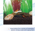 Aqueon Plant and Shrimp Aquarium Substrate - 5 Pounds, Brown