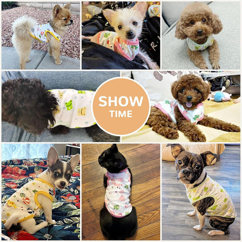 PETCARE 3 Pack Premium Small Dog Shirts, 95% Cotton Soft Cute Outfits for Small Dogs and Cats