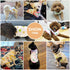 PETCARE 3 Pack Premium Small Dog Shirts, 95% Cotton Soft Cute Outfits for Small Dogs and Cats