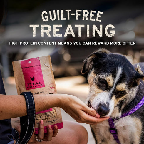 9 oz Vital Essentials Freeze Dried Raw Chicken Necks Dog Treats | Single Ingredient | Premium Quality | Grain Free