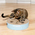 Interactive Cat Puzzle Toy with Scratchable Corrugate - Engages Your Cat's Hunting Instincts