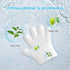 COCOYO Disposable Grooming Glove Wipes for Dogs & Cats, Fur Deodorizing, Fresh Mountain Pine Scent, Rinse Free &