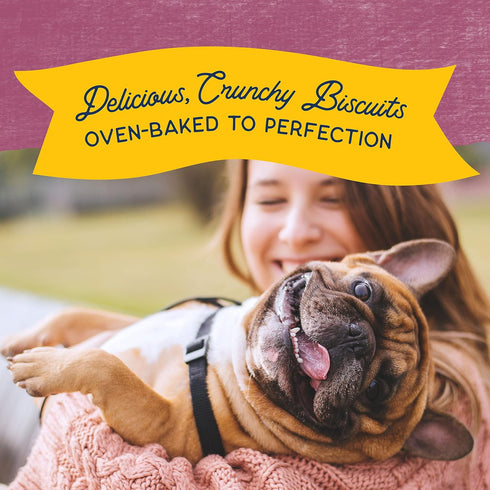 Natural Balance Limited Ingredient Rewards Crunchy Biscuits - Grain-Free Dog Treats, Venison Recipe, 28 Ounce