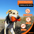 BIONIC Bone Dog Toy, Medium Interactive Chew Toy for Toughest Chewers, for Dogs 15-35 lbs.