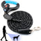 WIGZI Luna Dog Leash with Rechargeable LED Light, Detachable Light, 6 Ft Length for Dogs up to 200lb, Black