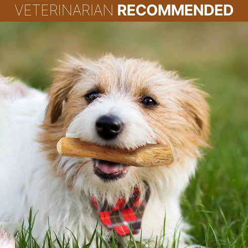 SPOT Coffee Wood Dog Chew Toy, 100% Natural & Sustainably Sourced, Durable for Aggressive Chewers, Large Dogs