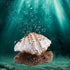 Acouto Aquarium Bubbler Decor - Coral Reef Aerating Action Ornament, Fish Tank Shell Pearl Bubbler Decoration