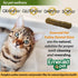 Emerald Pet Feline Dental Stixx, Tasty Crunchy Cat Dental Sticks with Pumpkin for Digestive Health, Salmon Stixx, 3.6 oz