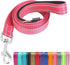 Reflective Nylon Dog Leash for Walking, Strong Leash with Padded Handle for Medium and Large Dogs, 6 FT, Hot Pink