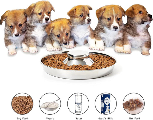 Set of 2 Stainless Steel Puppy Bowls, Dog Food and Water Feeder for Small Medium Large Dogs