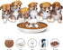 Set of 2 Stainless Steel Puppy Bowls, Dog Food and Water Feeder for Small Medium Large Dogs