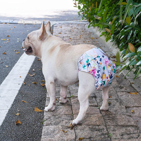 3 Pack WWD02XS CuteBone Washable Dog Diapers Female No Tail Hole Reusable Doggie Period Training Pants for Docked-Tail