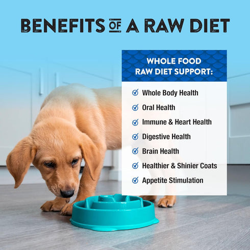 Omega-3 12 Oz Northwest Naturals Freeze-Dried Beef & Trout Dog Food - Bite-Sized Nuggets - Grain-Free, High-Protein