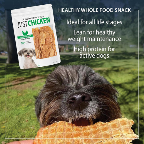 JustFoodForDogs Healthy Dog Treats, Single-Ingredient Chicken Breast, Made in The USA 5 oz