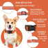 Reflective Dog Collar with Safety Locking Buckle - Adjustable Soft Breathable Nylon Collars for Small, Medium, Large