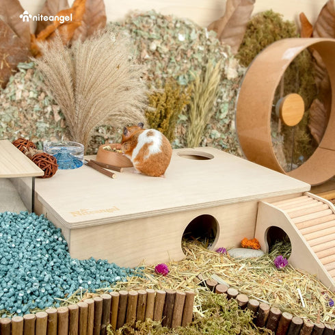 Lemmings (6-Room Niteangel Multi-Chamber Hamster House Maze: - Multi-Room Hideouts & Tunnel Exploring Toys for Hamster