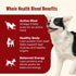 13 oz. 12 Count, Packaging Nutrish Real Beef & Veggies Recipe Whole Health Blend Chunks in Gravy Wet Dog Food, Can, May