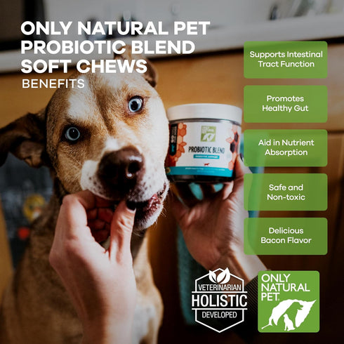 Only Natural Pet Probiotic Supplement for Dogs and Cats - 60 Soft Chews for Digestive & Gut Health