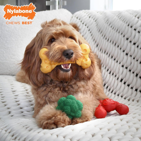 50 lbs, 3 Pack Nylabone Power Chew Toy Bundle, Cute Dog Toys for Aggressive Chewers, Filet Mignon, Cheese, and Bacon