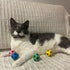 SPOT Sponge Soccer Ball Cat Toys - Interactive Plush Toy, Fun for Cats & Kittens to Bat & Chase, 1.5" Assorted 4-Pack