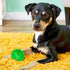 SHARLOVY Fetch Balls for Dogs, 3 Pack Rubber Squeaky Toys in Bright Colors for Small Dogs (Set of 3, Multi)