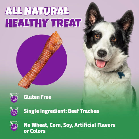 100% 10-Pack Beef Trachea for Dogs with Natural Glucosamine, Large Trachea Dog Chews for Joint Health with Chondroitin