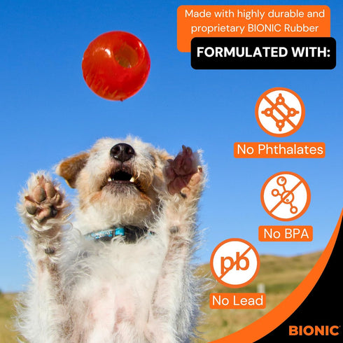 BIONIC Ball Dog Toy, Small - Interactive Chew Toy for Dogs up to 20 lbs (9 kg), Stands Up to Tough Chewers