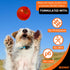BIONIC Ball Dog Toy, Small - Interactive Chew Toy for Dogs up to 20 lbs (9 kg), Stands Up to Tough Chewers