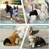 Washable Female Dog Diapers - Premium Reusable Diapers for Doggie in Heat - Highly Absorbent with Adjustable Snaps