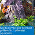 4-Ounce API pH DOWN Freshwater Aquarium Water pH Reducing Solution Bottle
