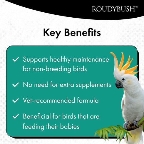 3 (5lb) Roudybush Formula Baby Bird Food - Hand feeding Baby Bird Formula for Newborn Psittacines & Squabs