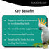 3 (5lb) Roudybush Formula Baby Bird Food - Hand feeding Baby Bird Formula for Newborn Psittacines & Squabs
